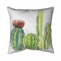 Fondo 26 x 26 in. Four Little Cactus-Double Sided Print Indoor Pillow FO2791752